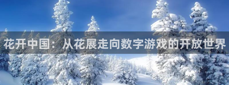欧博娱乐开户测速：花开中国：从花展走向数字游戏的开放世界