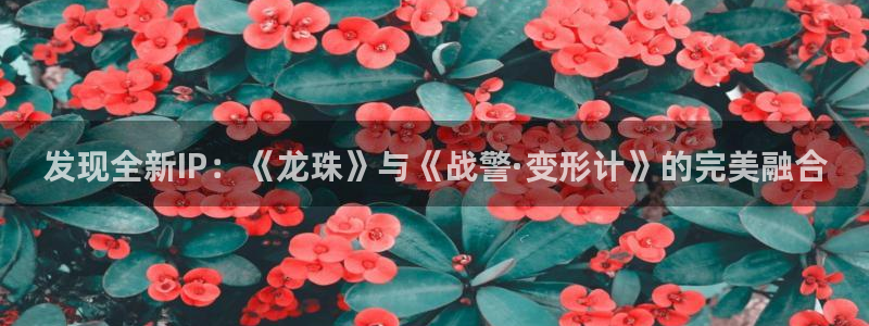欧博娱乐是什么：发现全新IP：《龙珠》与《战警·变形计》的完