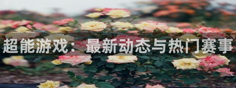 欧博娱乐官方登录网址：超能游戏：最新动态与热门赛事