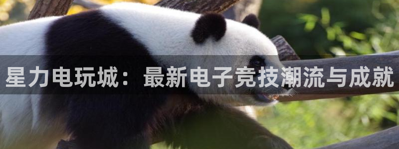 欧博娱乐网页登录入口：星力电玩城：最新电子竞技潮流与成就